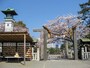 春の伊勢山皇大神宮は薄ピンク色に染まっています（2012年4月9日撮影）