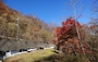 いろは坂の紅葉（4）