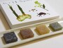 「カレ ド 羊羹」左から小豆・生姜・白味噌・山椒
