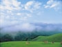 若草山と鹿