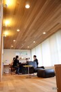S氏一番のお気に入り「天井」