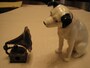 鉛筆削りと犬