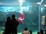 海響館