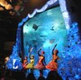 新江ノ島水族館