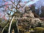 東慶寺