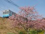 伊豆急普通電車