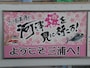 河津桜まつりポスター