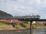 東急8000系
