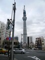 スカイツリー全景