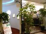 Welltas GINZA