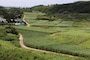 kumejima