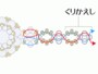 パールリング