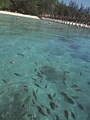 サバ州
