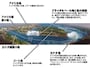 霧の乙女号の見どころ　（クリックで拡大）