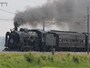 C61