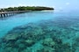 グリーン島