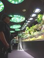 サンシャイン水族館