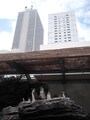 サンシャイン水族館