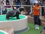 サンシャイン水族館