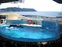 新江ノ島水族館