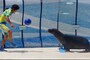 新江ノ島水族館