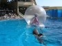 新江ノ島水族館