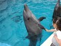 新江ノ島水族館