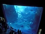 新江ノ島水族館