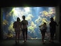 新江ノ島水族館
