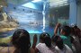 新江ノ島水族館