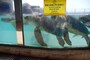 新江ノ島水族館