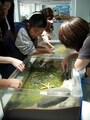 新江ノ島水族館