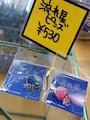 新江ノ島水族館