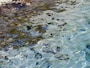 仏ヶ浦 海