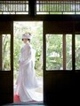 白無垢　ゴシフォト