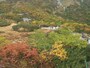 千畳敷カールの紅葉・黄葉（5）