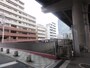 ピンク色のかわいい橋だ
