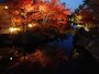 徳川園