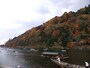 嵐山の紅葉