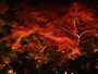 宝厳院・獅子吼の庭の紅葉ライトアップ