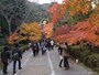 二尊院の紅葉・黄葉