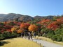大河内山荘庭園の紅葉