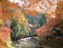 高雄橋のたもとから眺める紅葉
