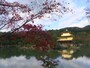 金閣寺（鹿苑寺金閣）の紅葉