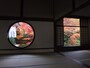鷹峯・源光庵の紅葉（2）／悟りの窓と迷いの窓