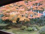 大原・宝泉院の紅葉