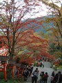 鞍馬寺の紅葉