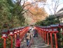 貴船神社の紅葉