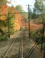 叡山電車の紅葉のトンネル