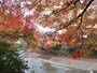 八瀬比叡山口駅の近く、高野川を彩る紅葉